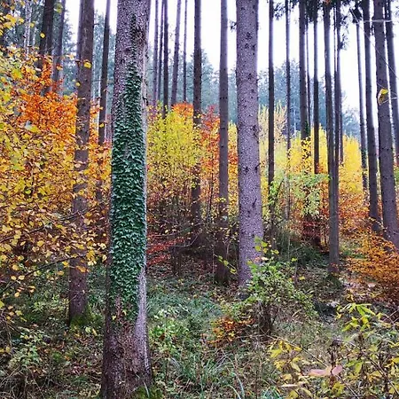Homestay szállás Zimmervermietung Stocker *