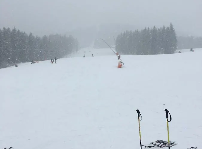 Zimmervermietung Stocker * Waidhofen an der Ybbs