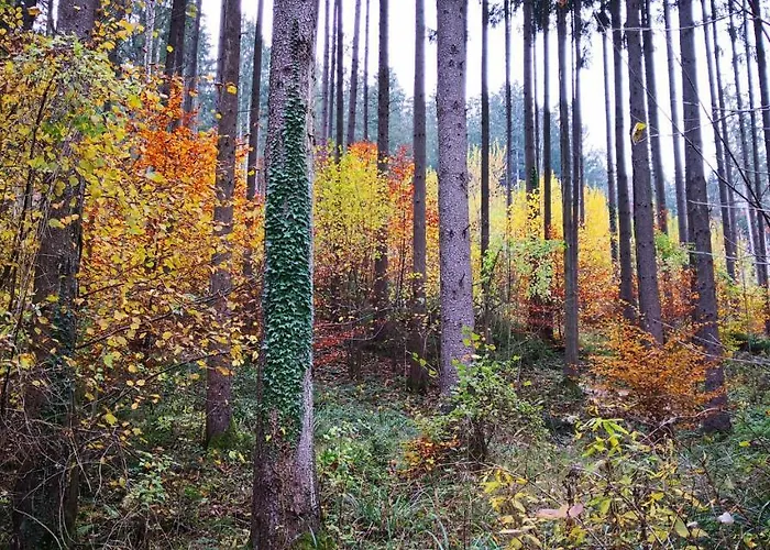 Rum i privatbostad Zimmervermietung Stocker *