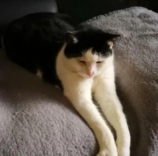 Zimmervermietung Stocker Homestay